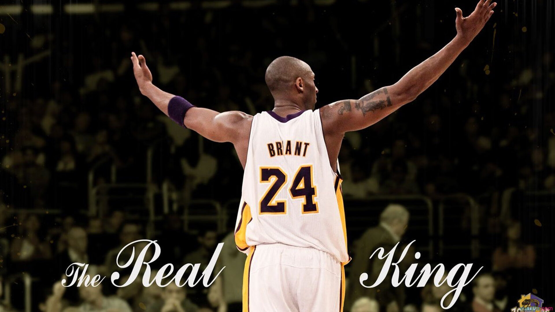 硬气女教师霸气离职！背后是对教师尊严的呐喊，女教师辞职能做什么工作